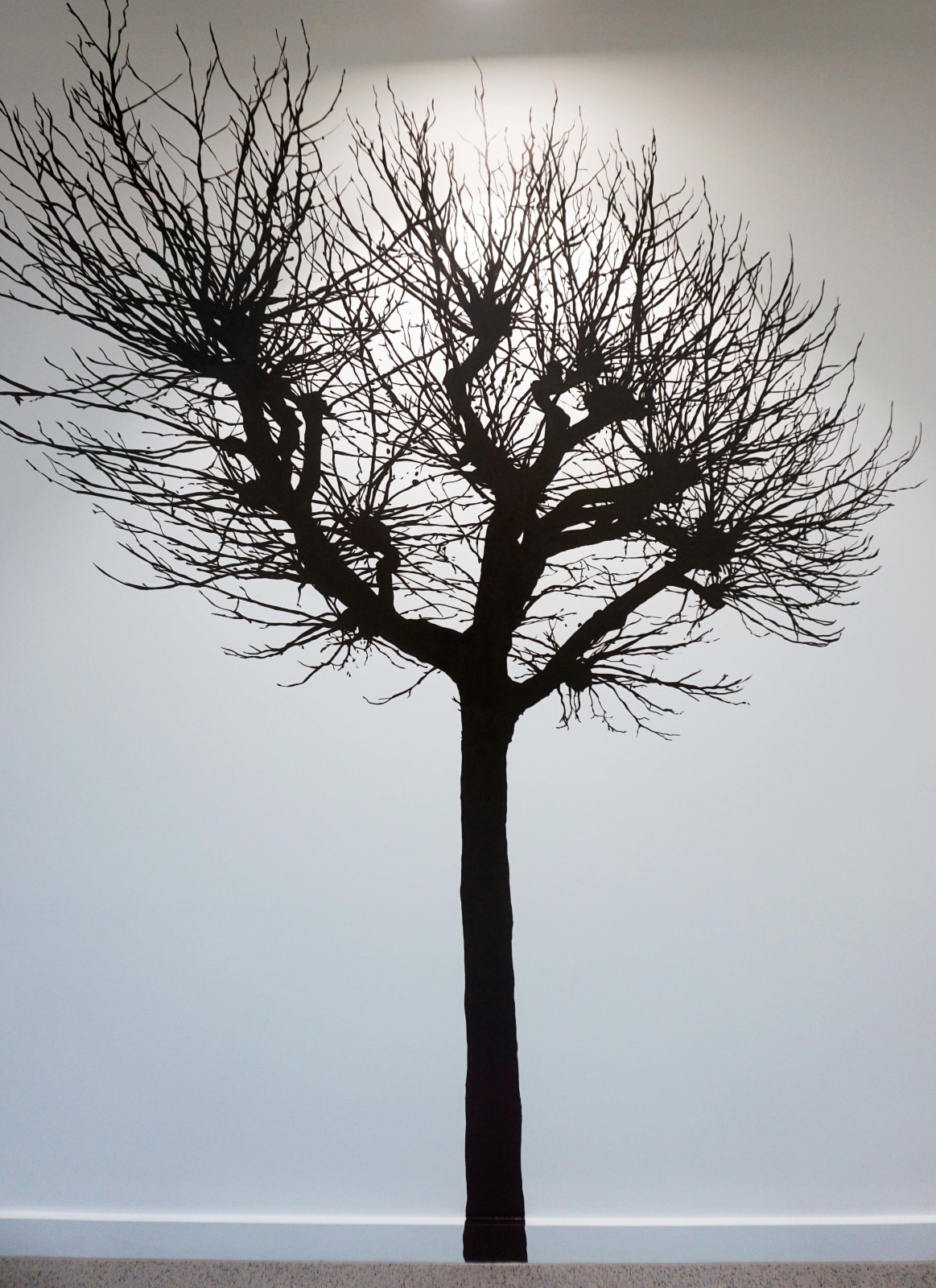 Eamon O'Kane, Meta Headquarters - Tástáil crainn (Tree test), 2022