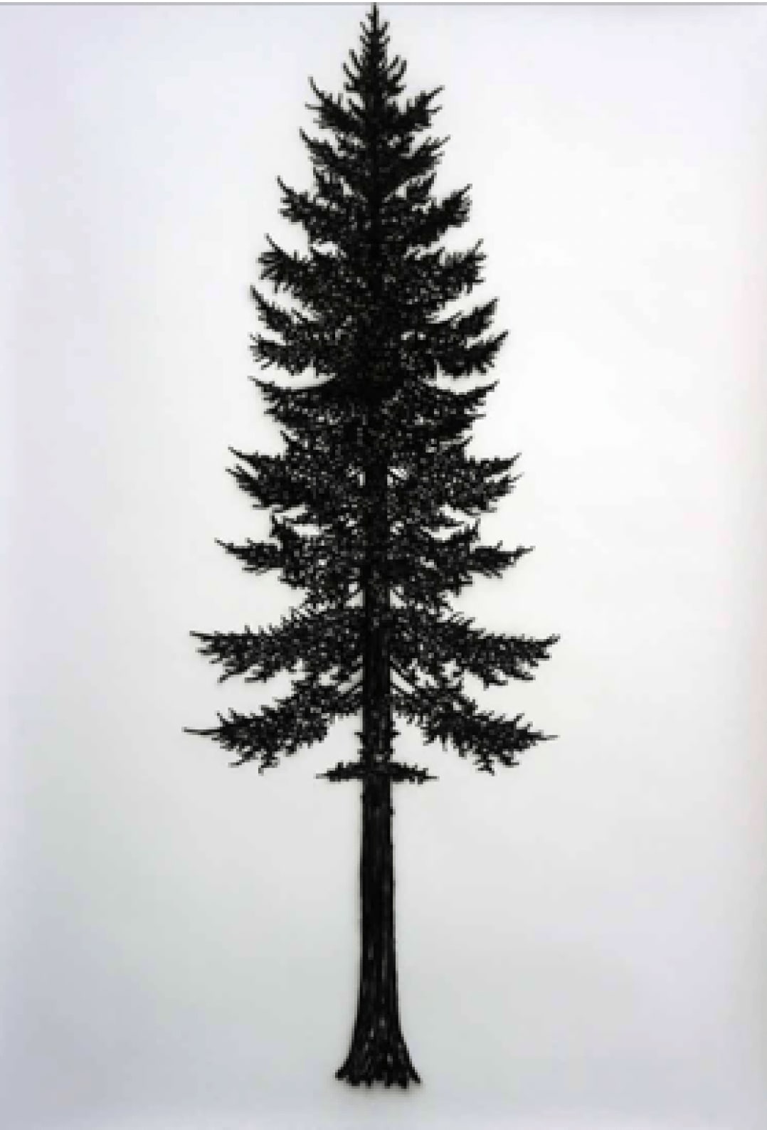 Eamon O'Kane, Baum Test Blue Palm I, 2023