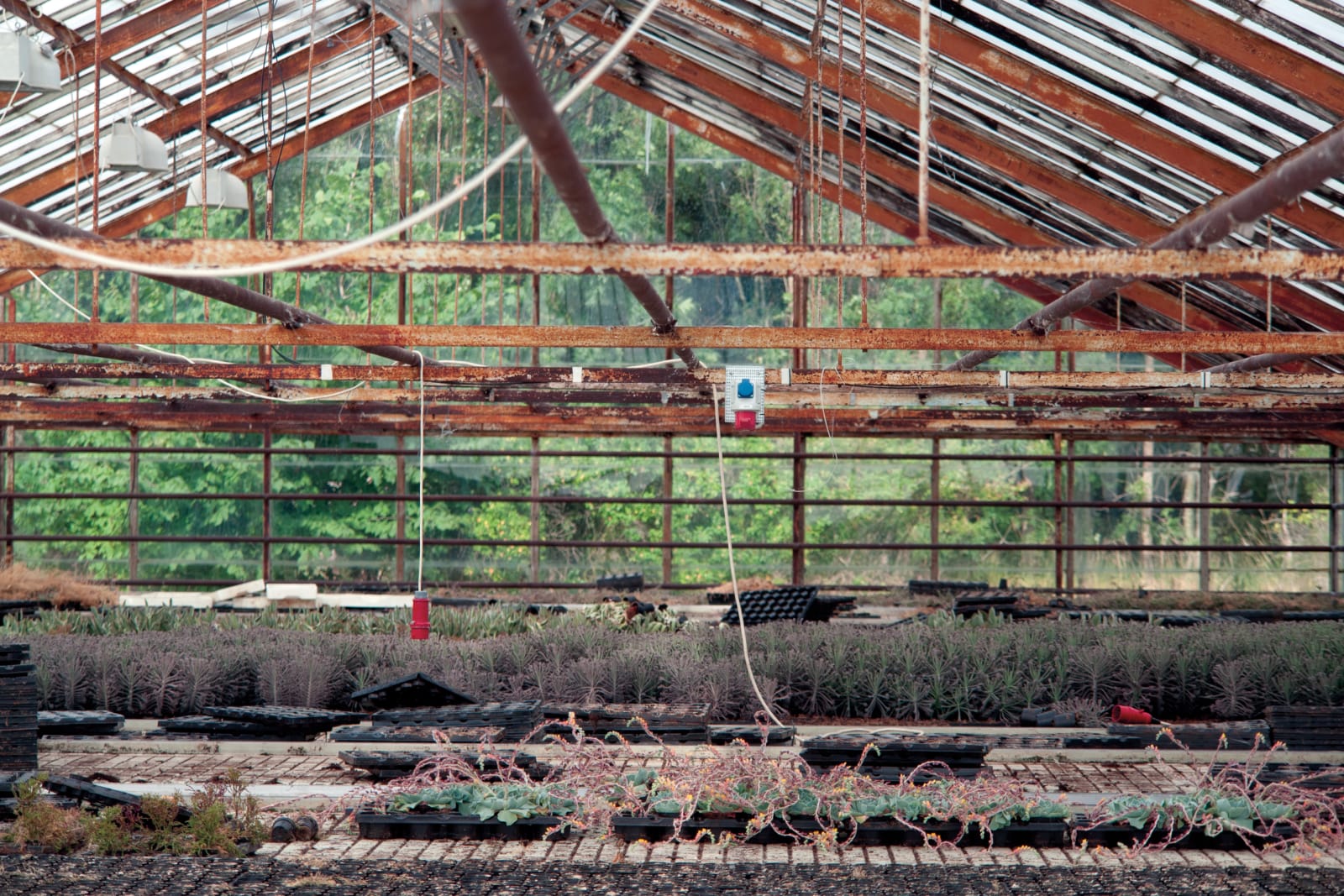 Eamon O'Kane, Where There Are People There Are Things, 2014