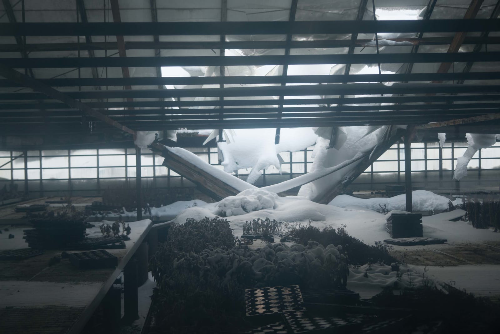 Eamon O'Kane, Where There Are People There Are Things, 2014
