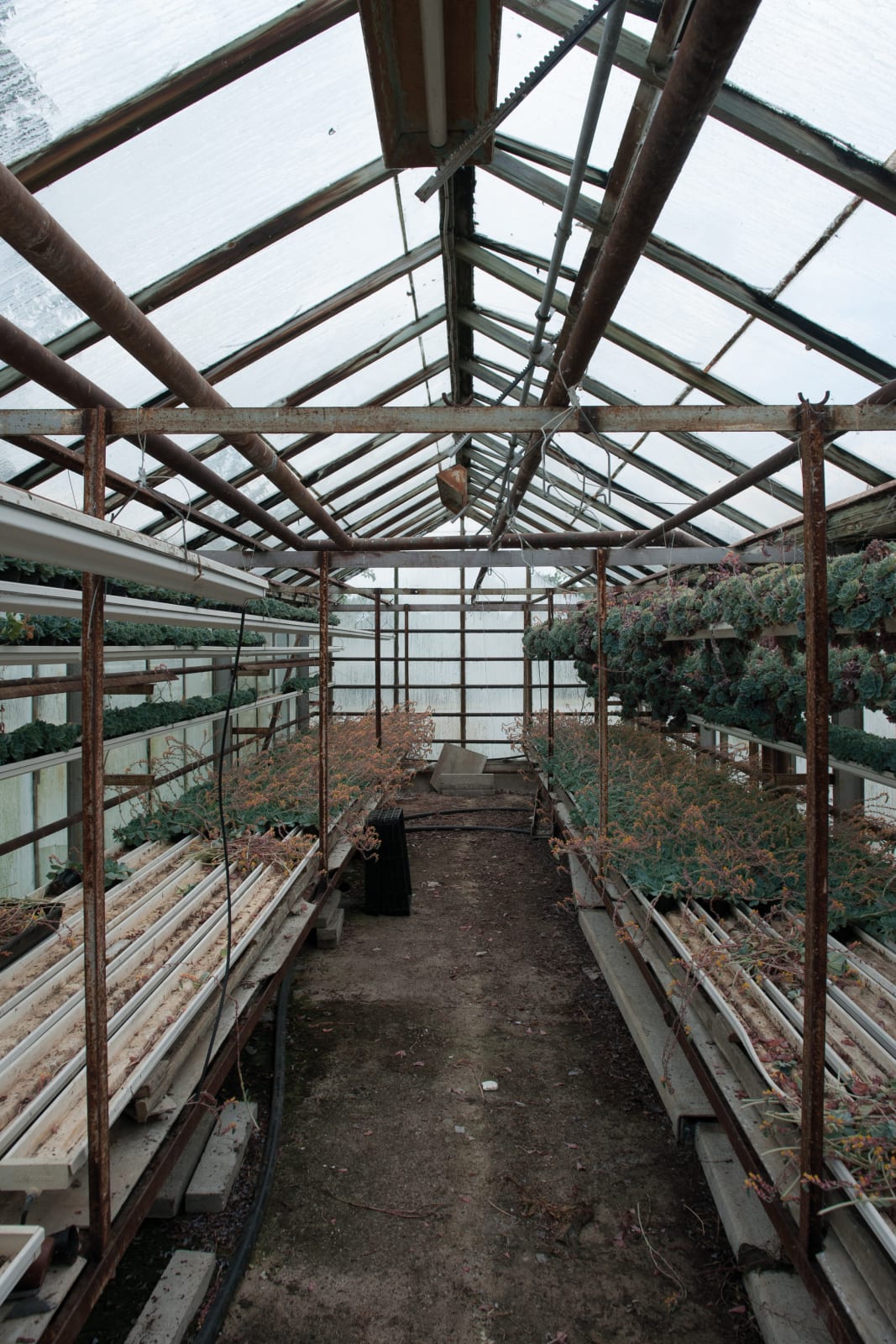 Eamon O'Kane, Where There Are People There Are Things, 2014