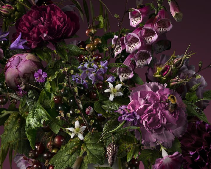 Bas Meeuws, L'Ombre, 2019