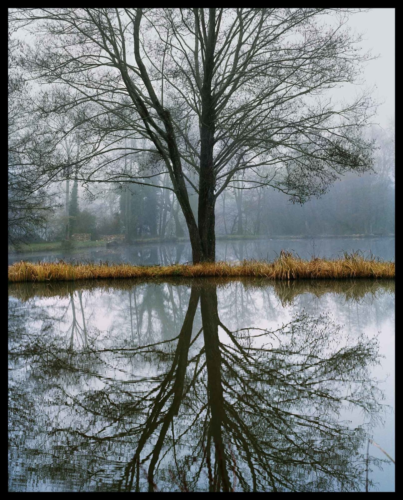 Vee Speers, Untitled #7, 2020