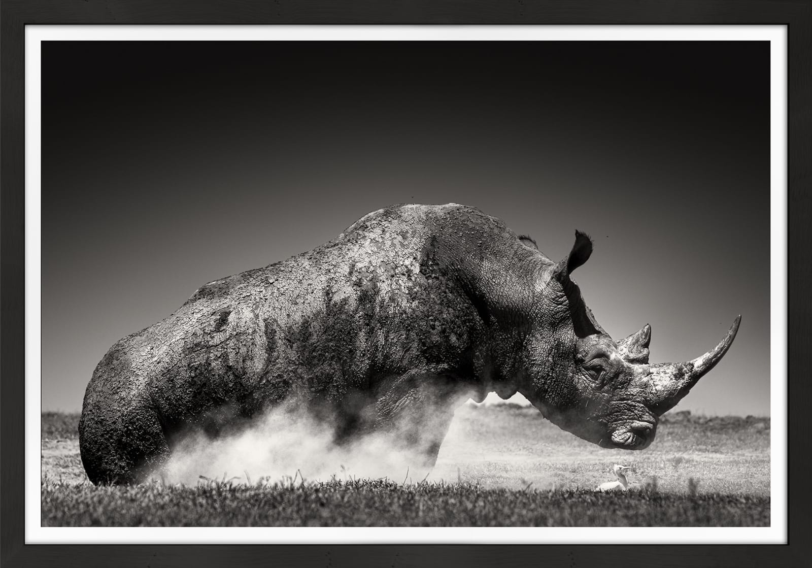 Joachim Schmeisser, Rise, 2019