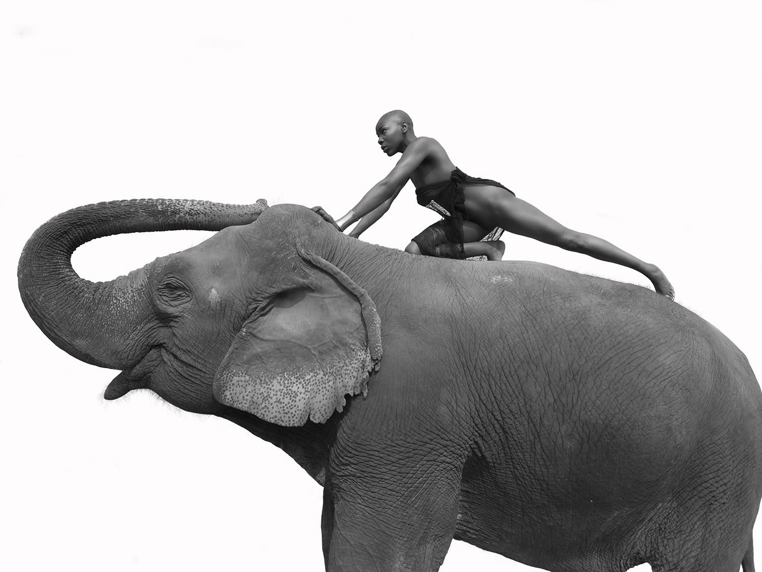 Sylvie Blum, The Amazone, 2018