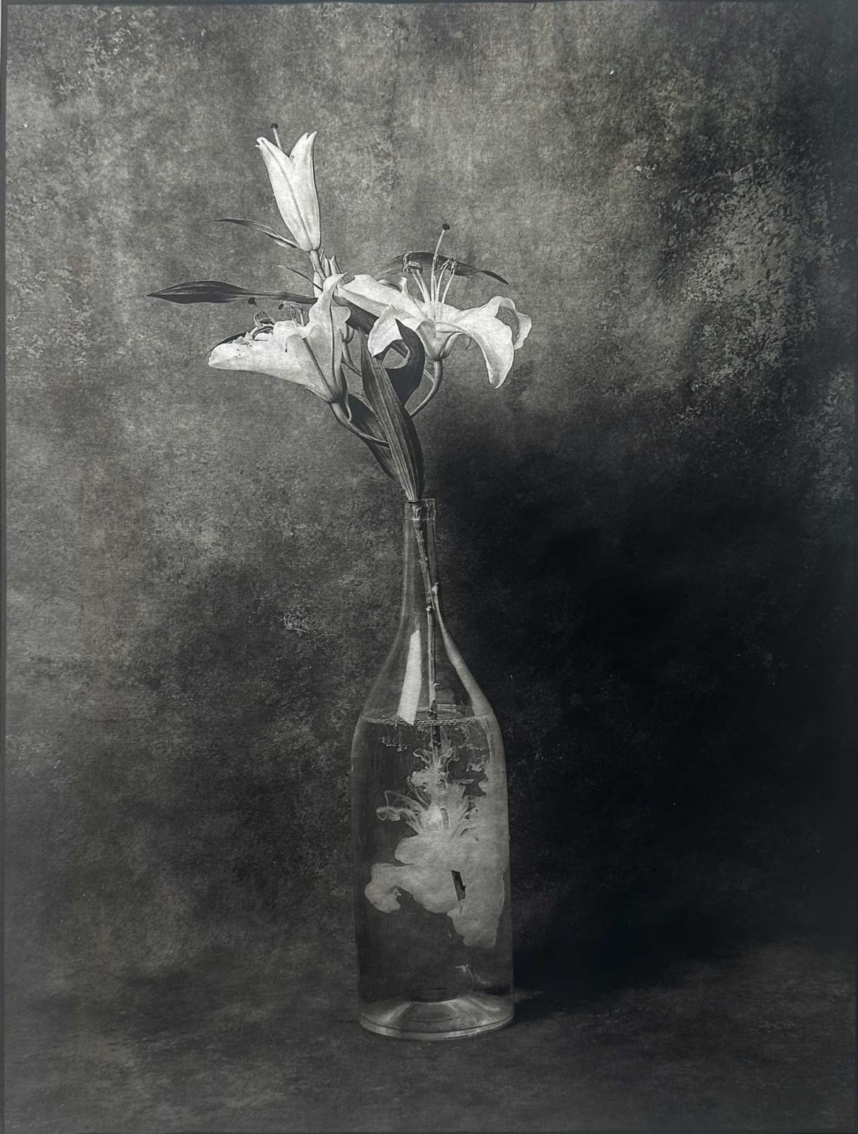 Olesya Spashchanskaya, Beginning, 2024