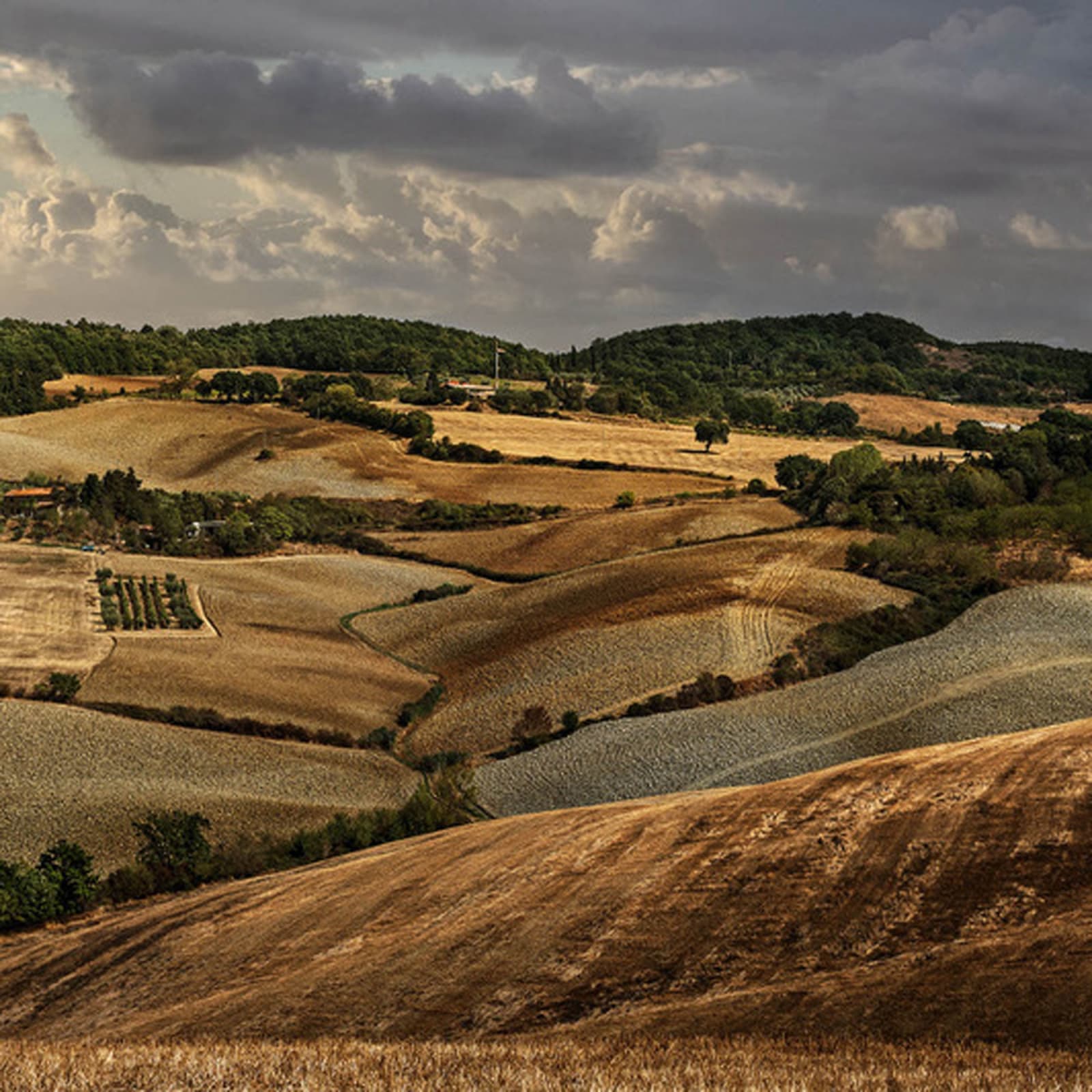 David Drebin, Tuscan Dream, 2021