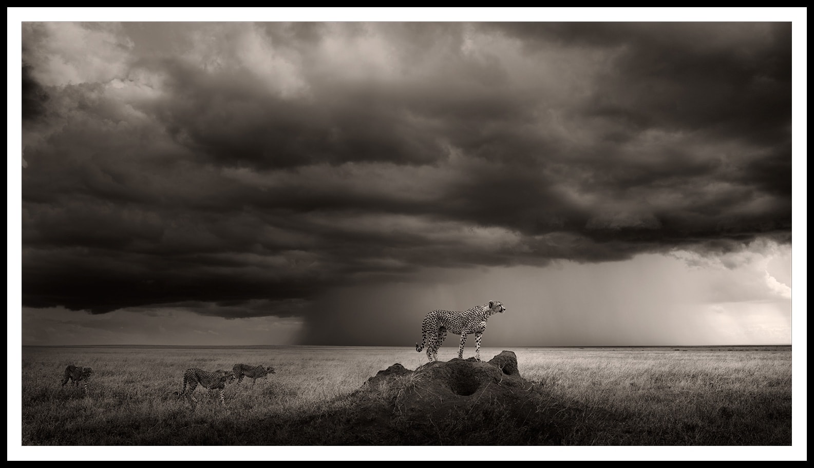 Joachim Schmeisser, Thunderroad, 2023