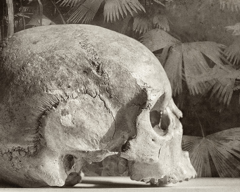 Jan Gulfoss, Jungle Skull, c. 2013-2016
