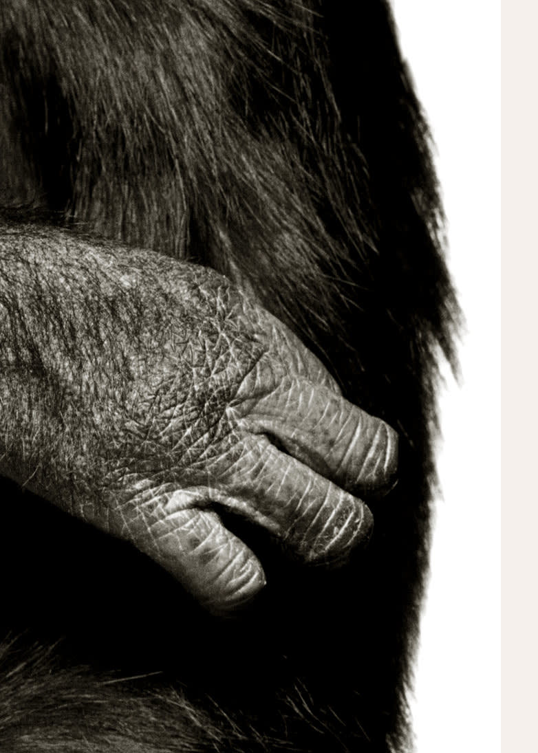 Albert Watson, King Casey, NYC, 1992