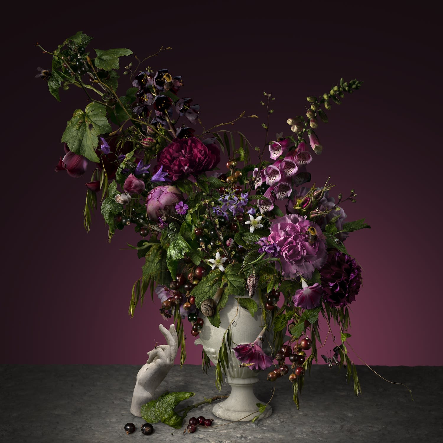 Bas Meeuws, L'Ombre, 2019