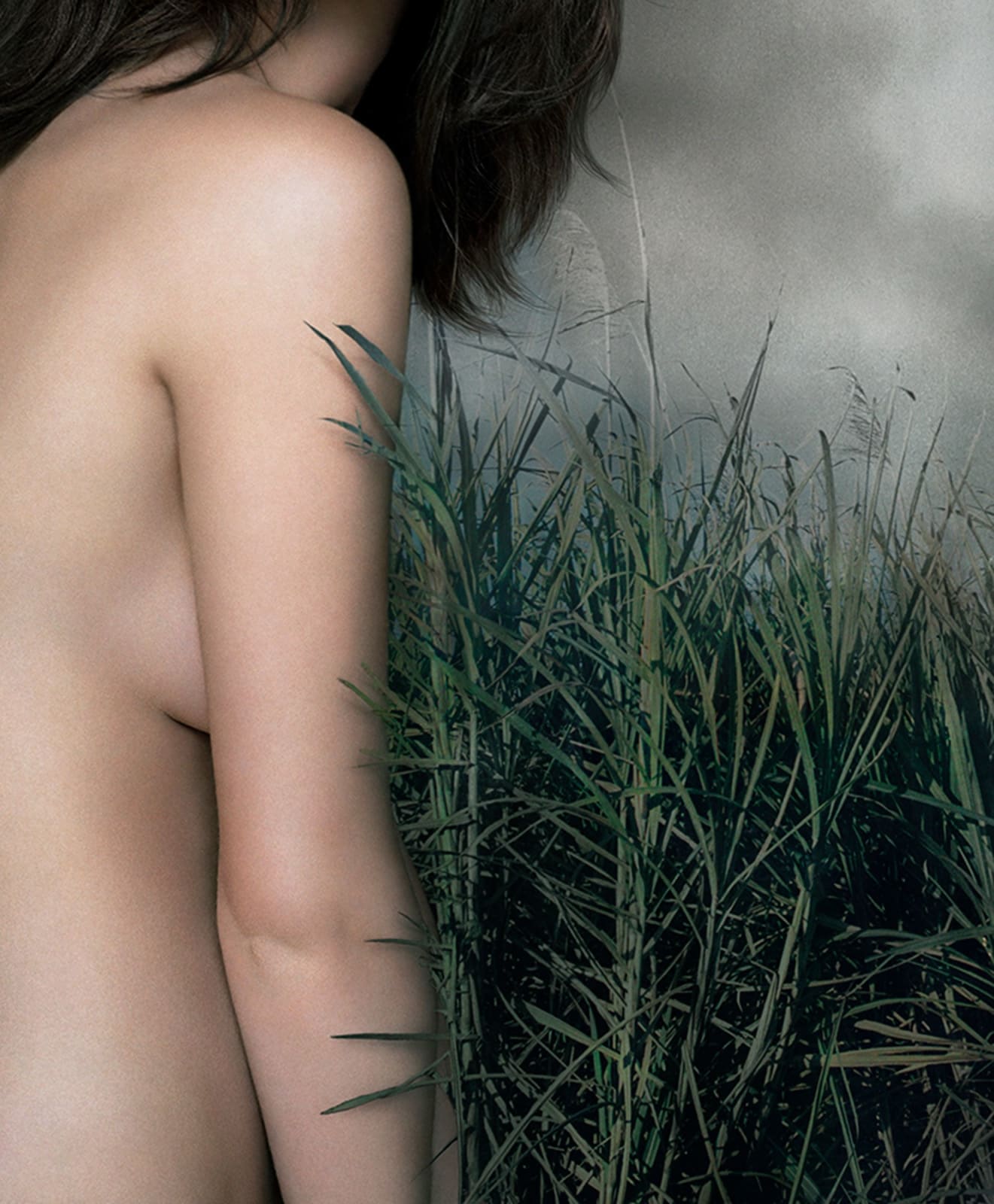 Vee Speers, Immortal #4, 2010