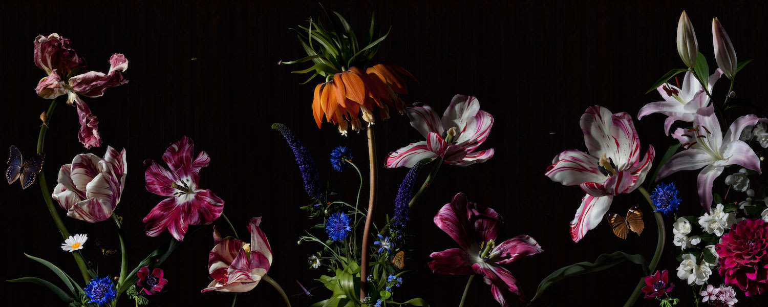 Bas Meeuws, Untitled (#59), 2012