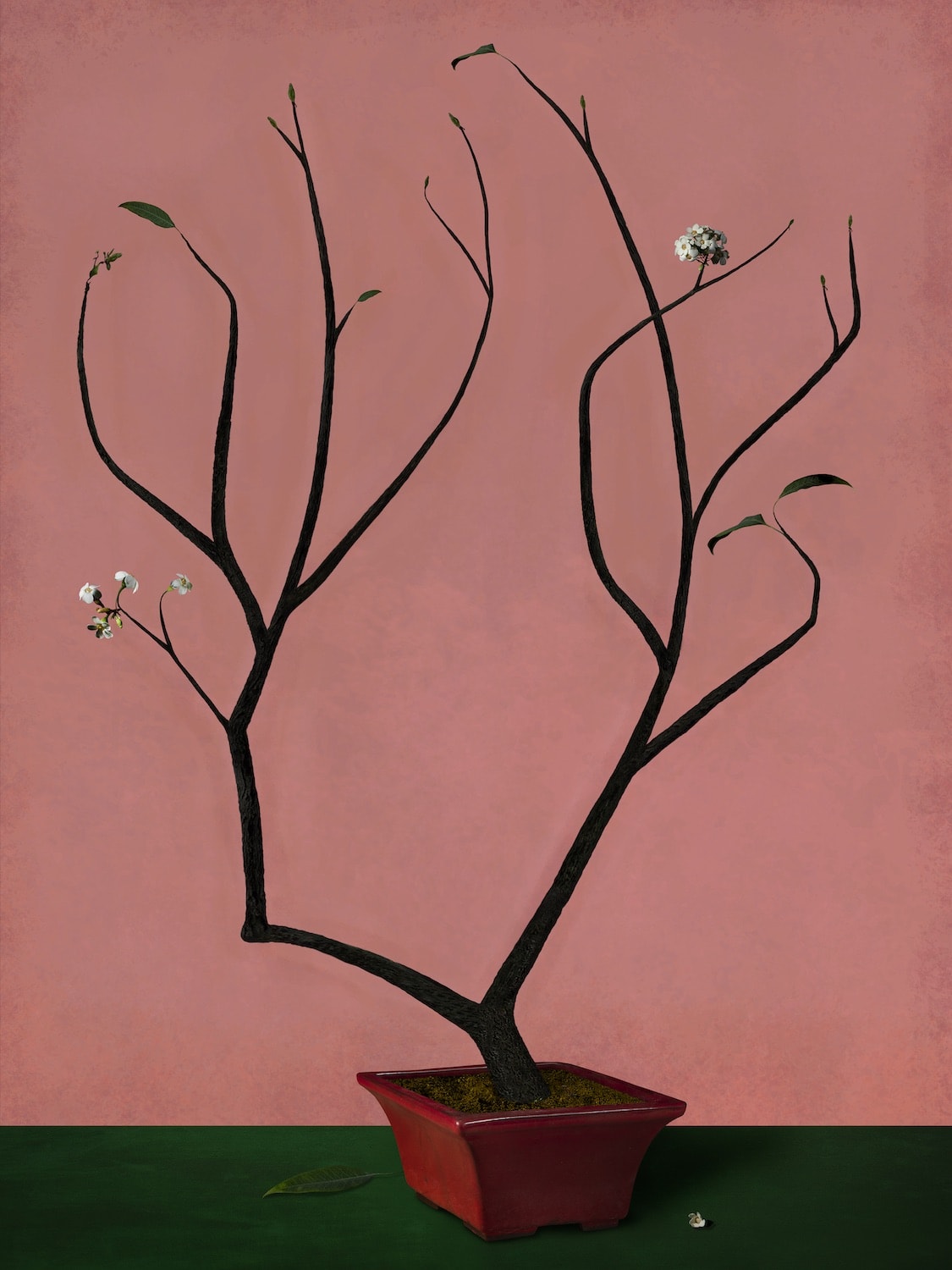 Bas Meeuws, Hommage à Sanyu (#20), 2019