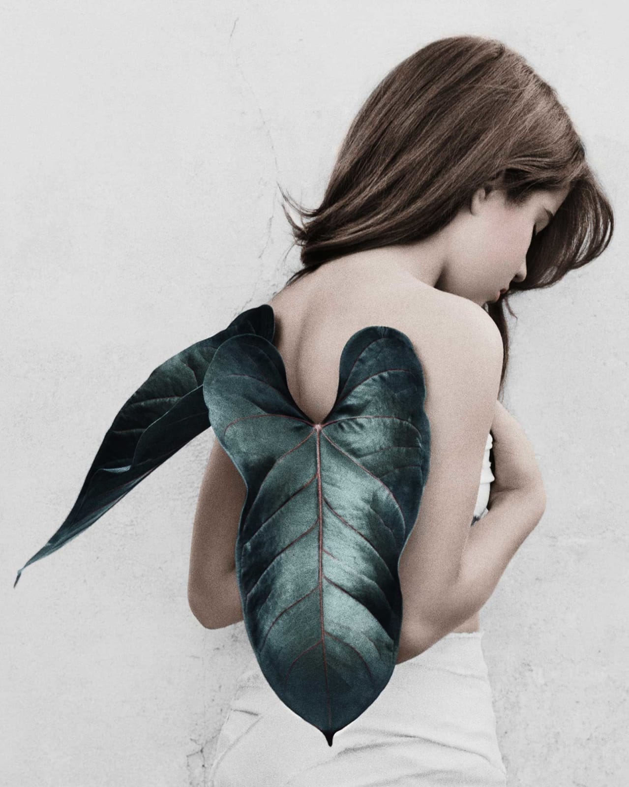 Vee Speers, Untitled #11, 2012