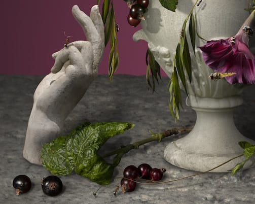 Bas Meeuws, L'Ombre, 2019