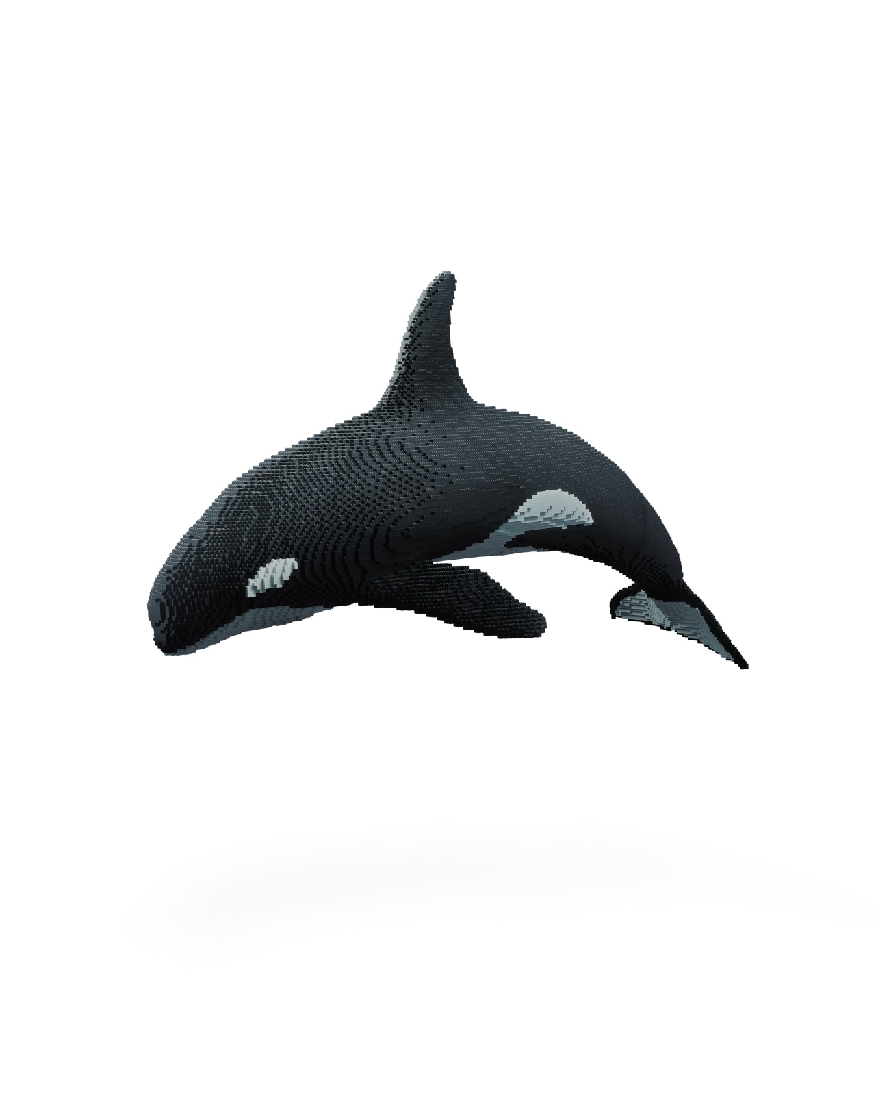 Dean West & Nathan Sawaya, Orca, 2019
