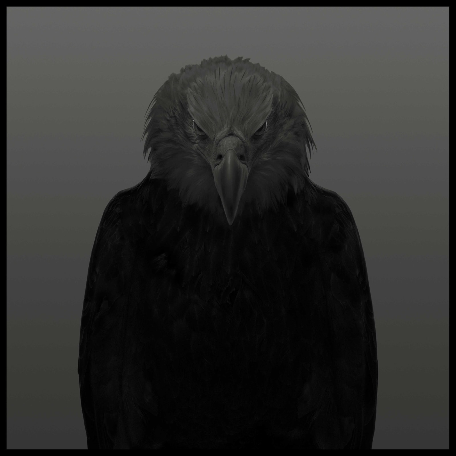 Dean West, Bald Eagle #1, 2025