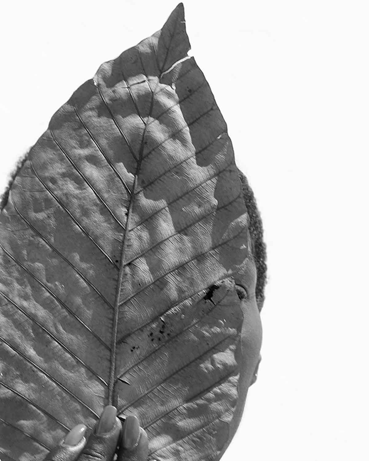 Sylvie Blum, Tree of Life, 2018