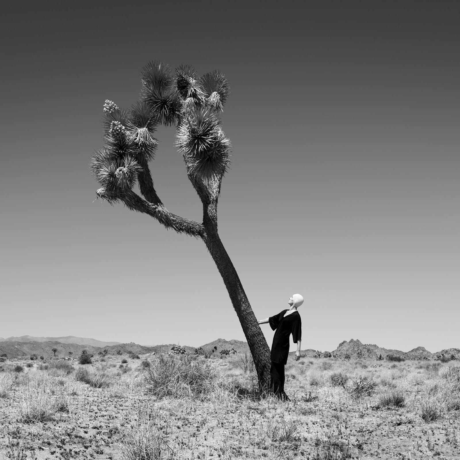 Astrid Verhoef, Dance , 2022