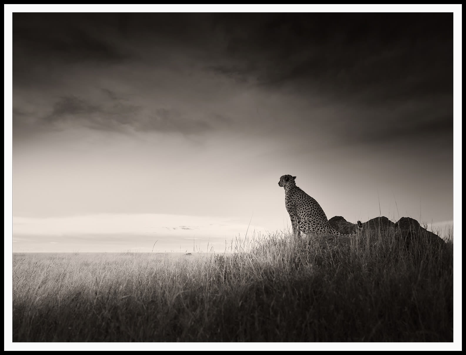 Joachim Schmeisser, Silence, 2023