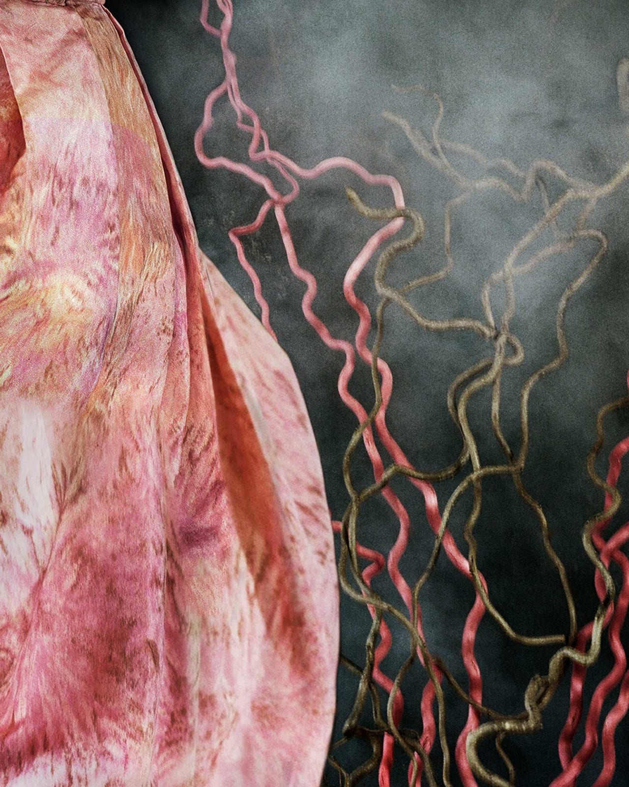 Vee Speers, Untitled #14, 2020