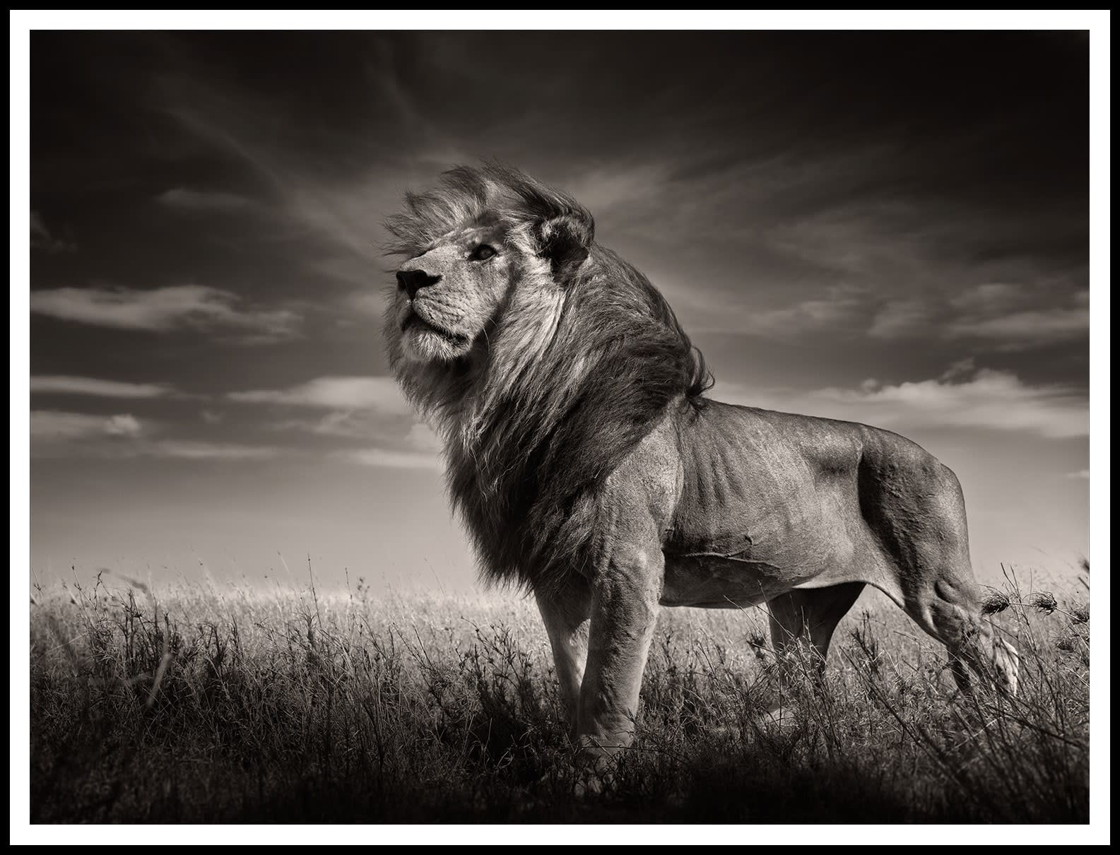 Joachim Schmeisser, Just Me, Tanzania, 2023