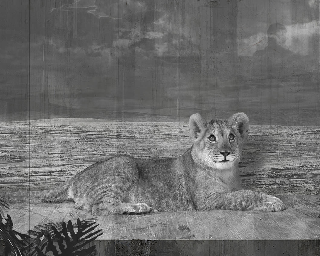 Jan Gulfoss, Lionceau devant une vitrine et Ampoule, c. 2013-2016