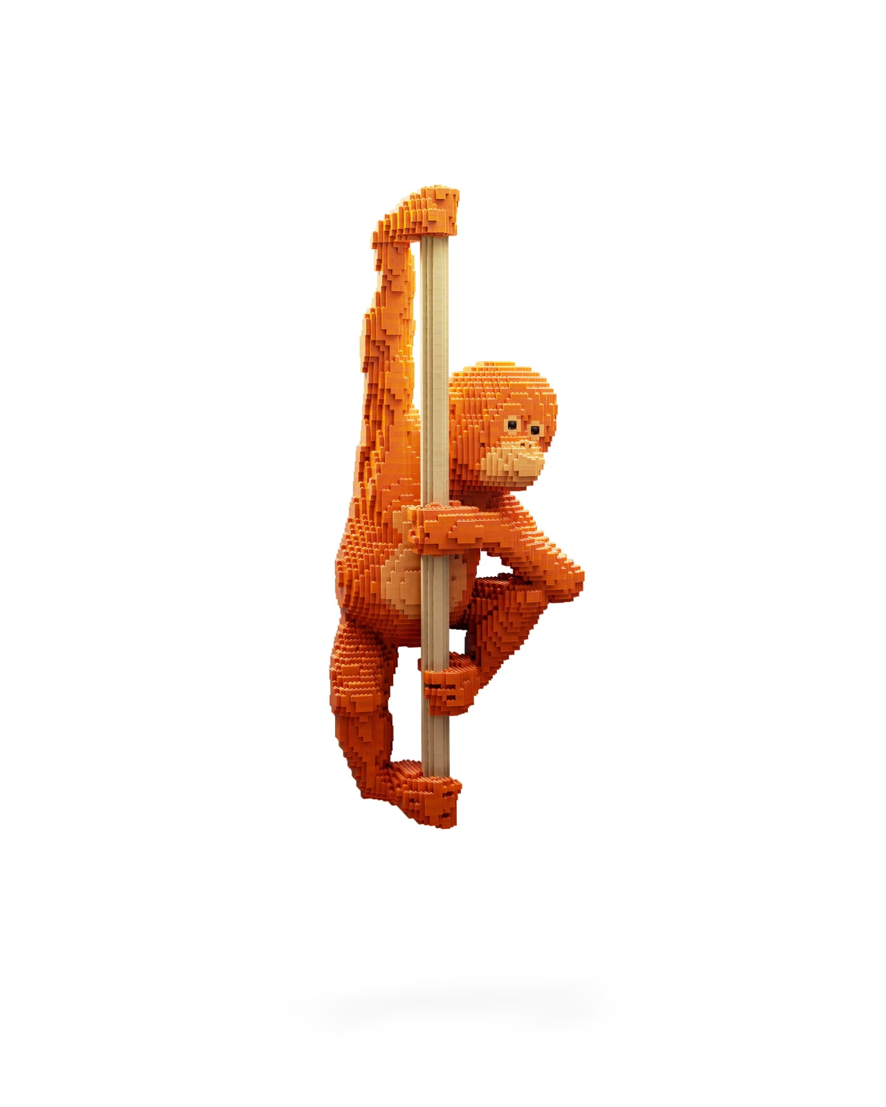 Dean West & Nathan Sawaya, Sumatran Orangutan, 2019