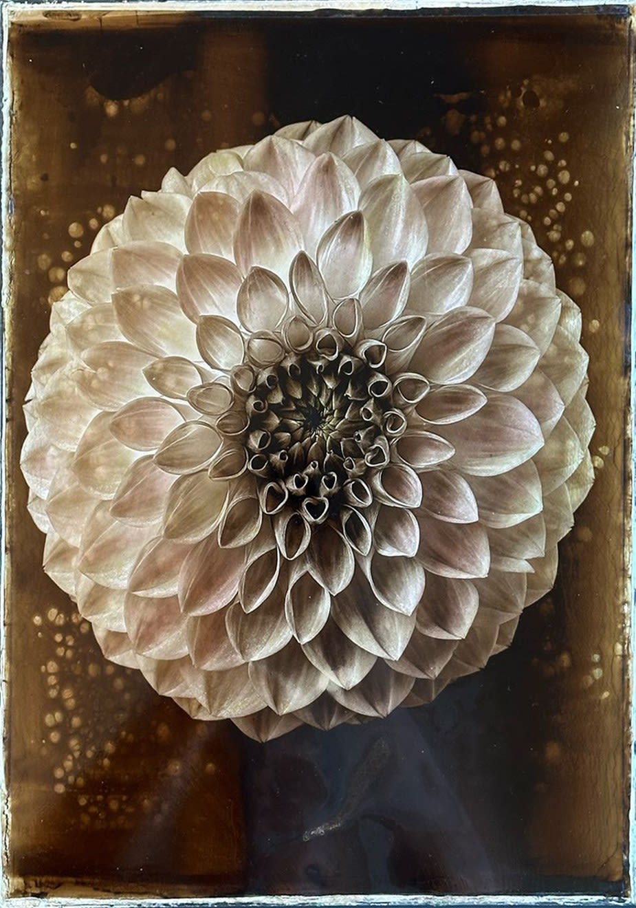 Jan C. Schlegel, Plate #3, 2025