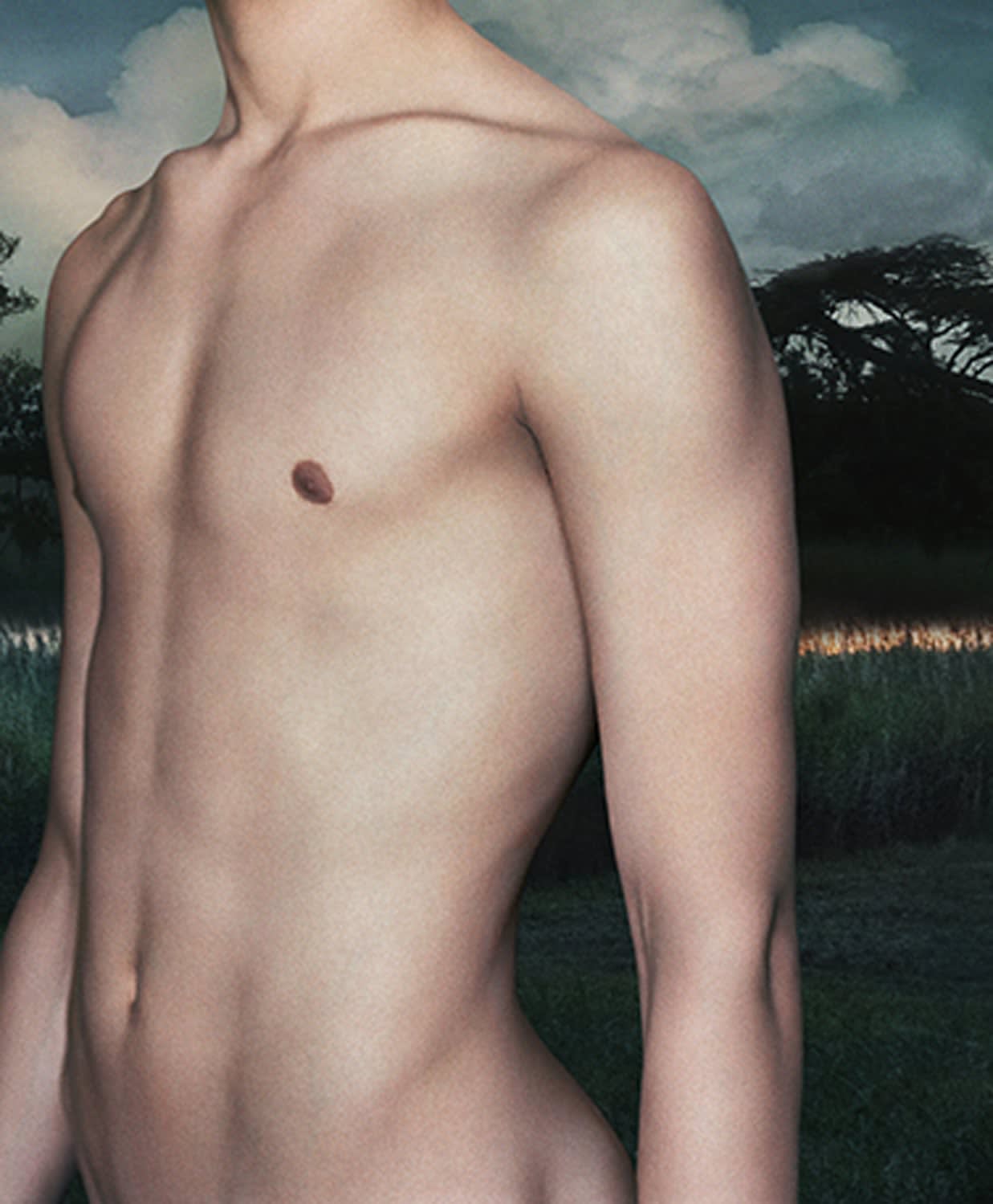 Vee Speers, Immortal #12, 2010