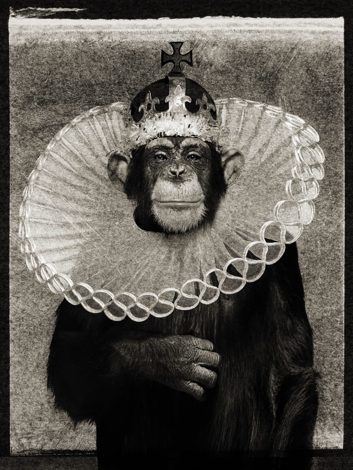 Albert Watson, King Casey, New York City, 1992