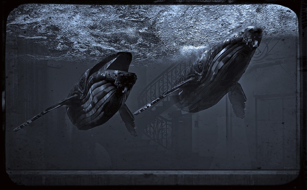 Jan Gulfoss, Deux baleines, c. 2013-2016
