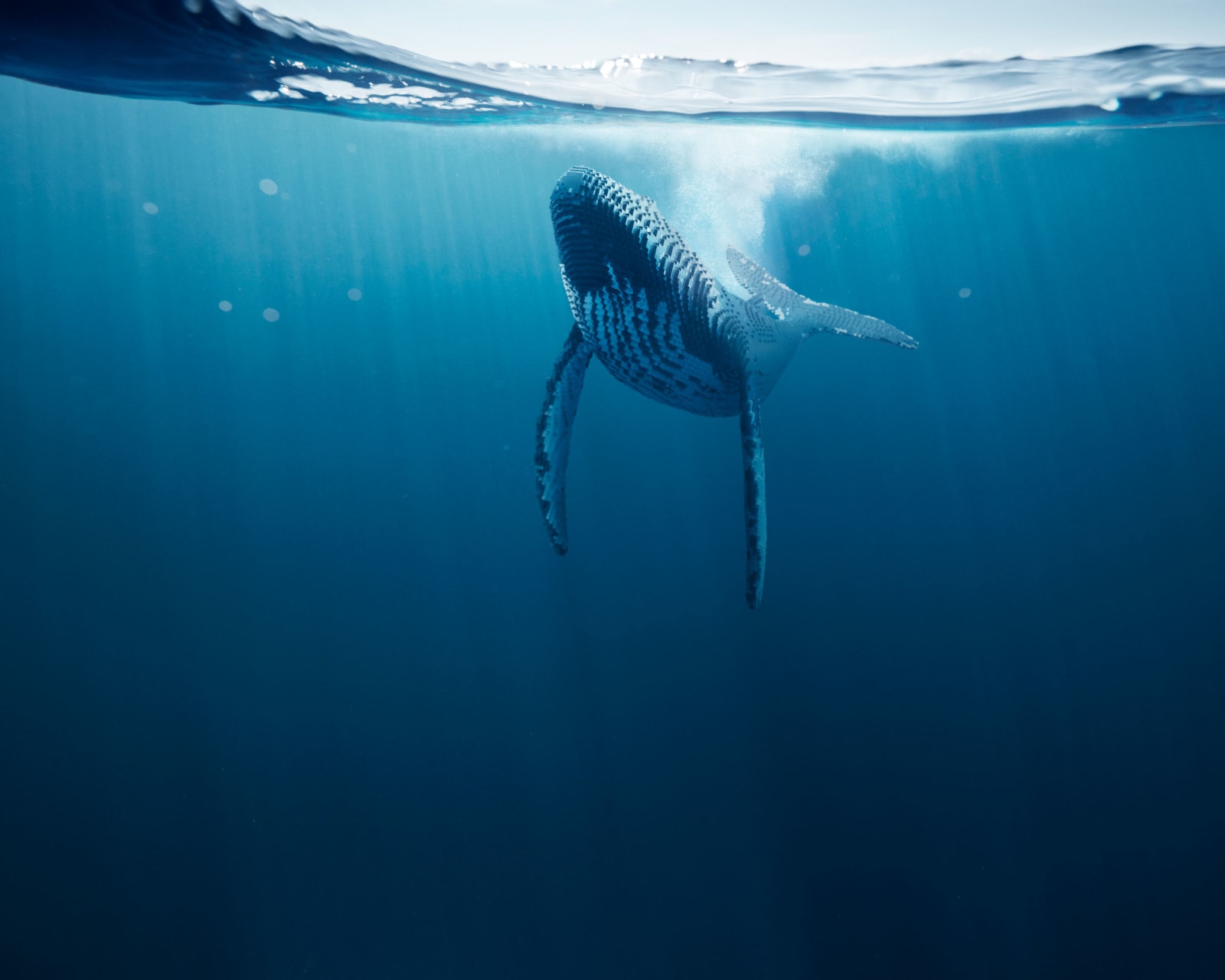 Dean West & Nathan Sawaya, Humpback #2, 2019