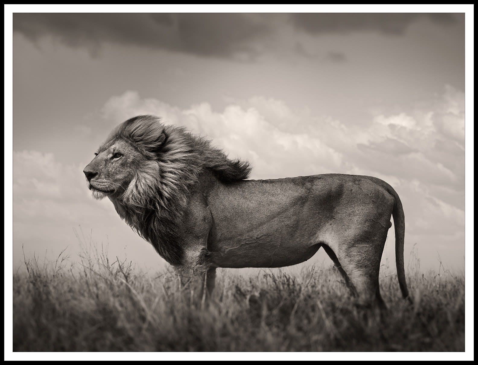 Joachim Schmeisser, The Sentinel, 2023