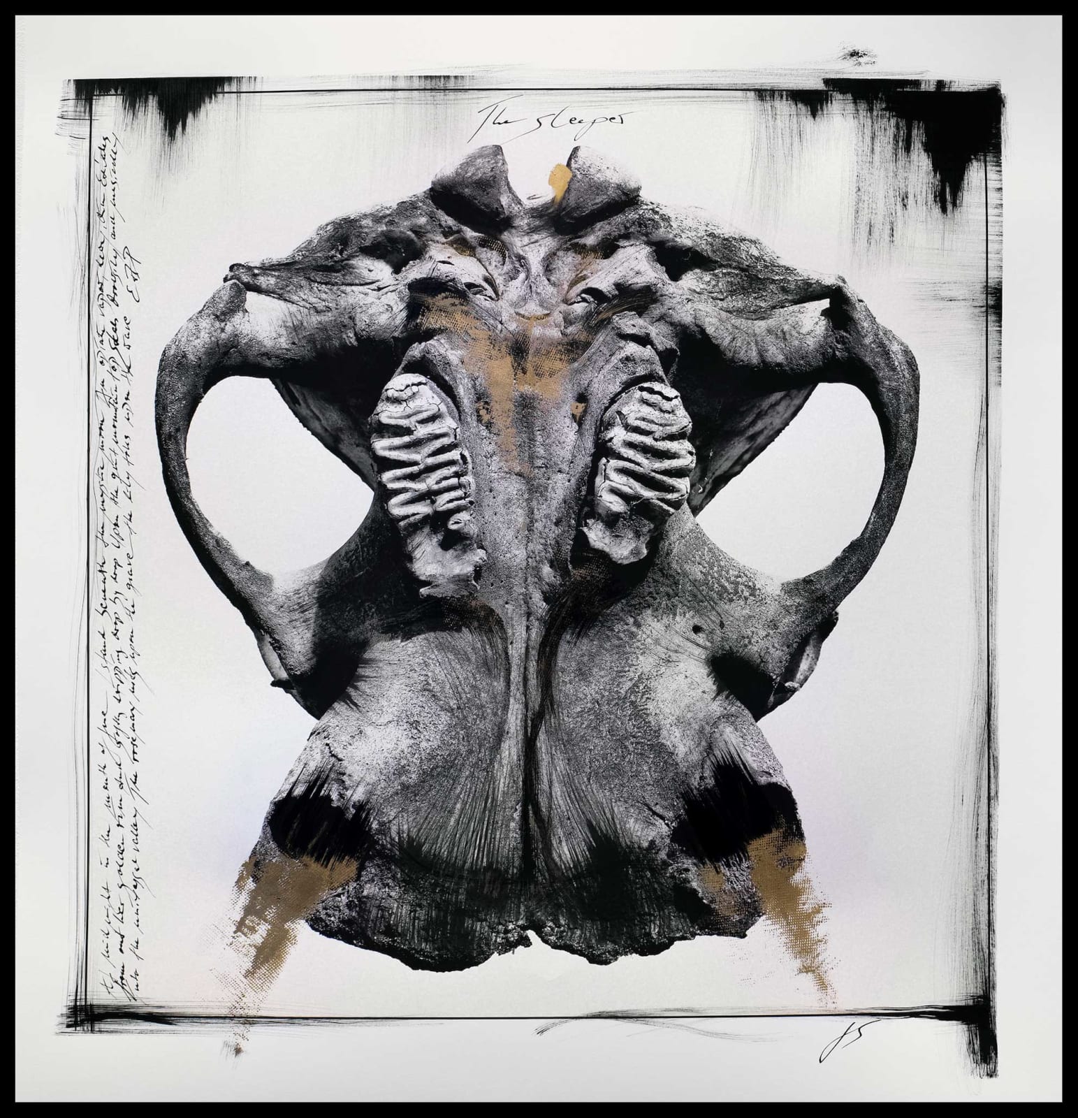 Joachim Schmeisser, Elephant Skull, 2020