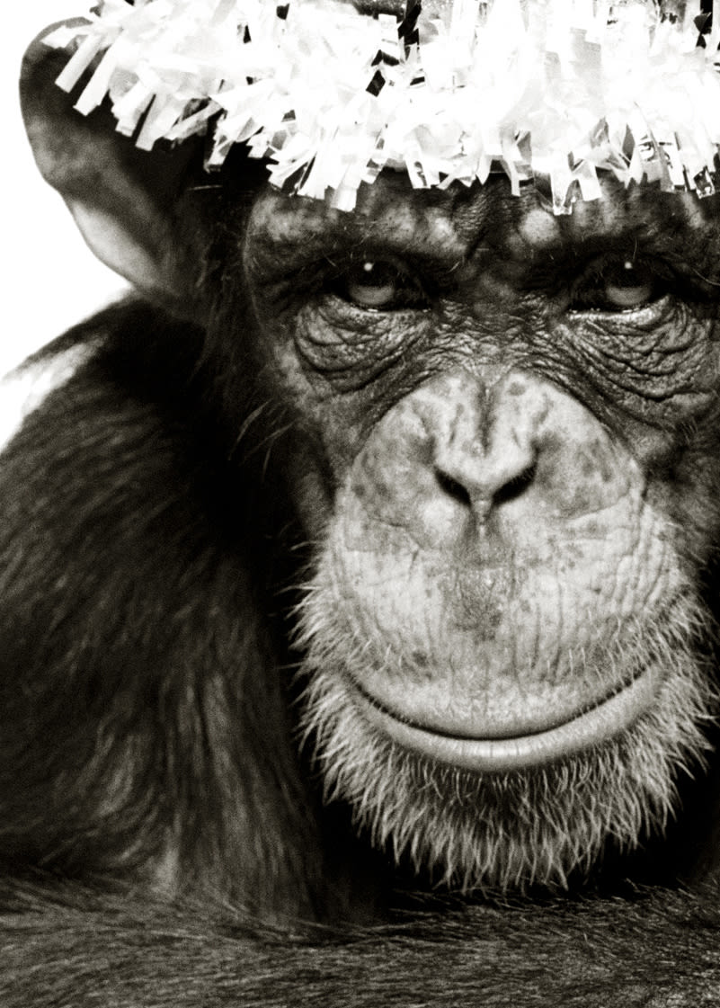 Albert Watson, King Casey, NYC, 1992