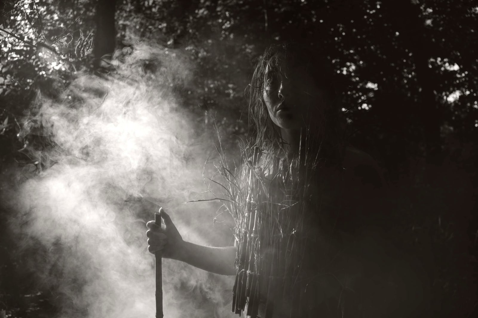 Alain Laboile, Chamanique, 2022