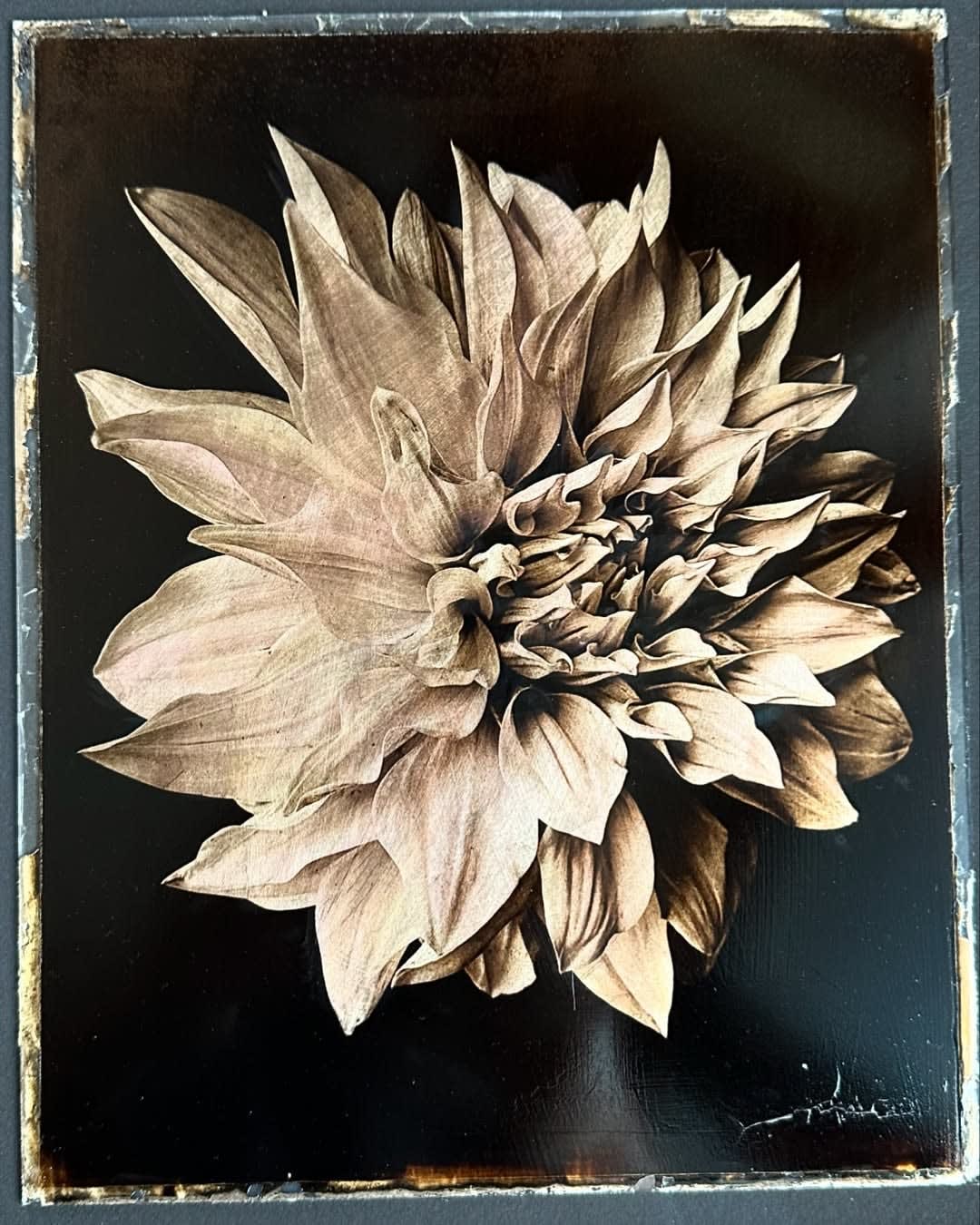 Jan C. Schlegel, Plate #1, 2025