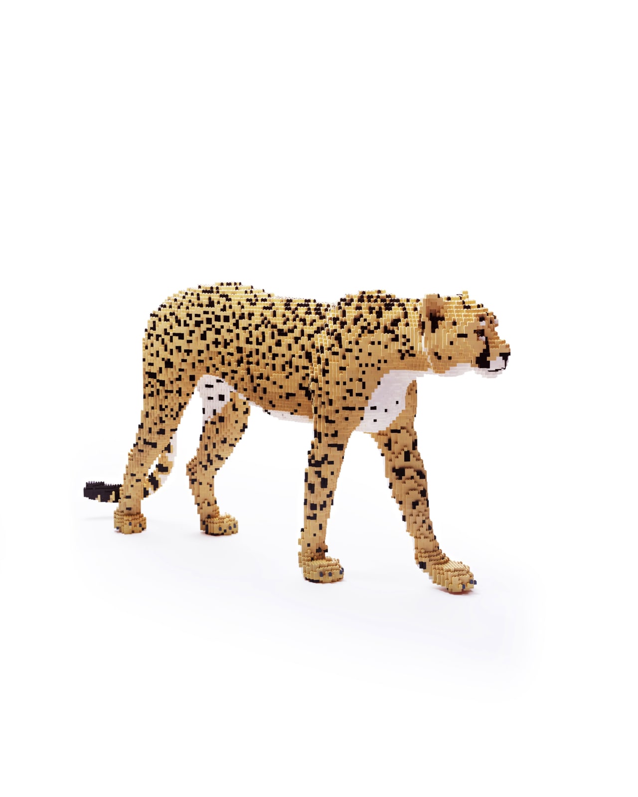 Dean West & Nathan Sawaya, Cheetah, 2019