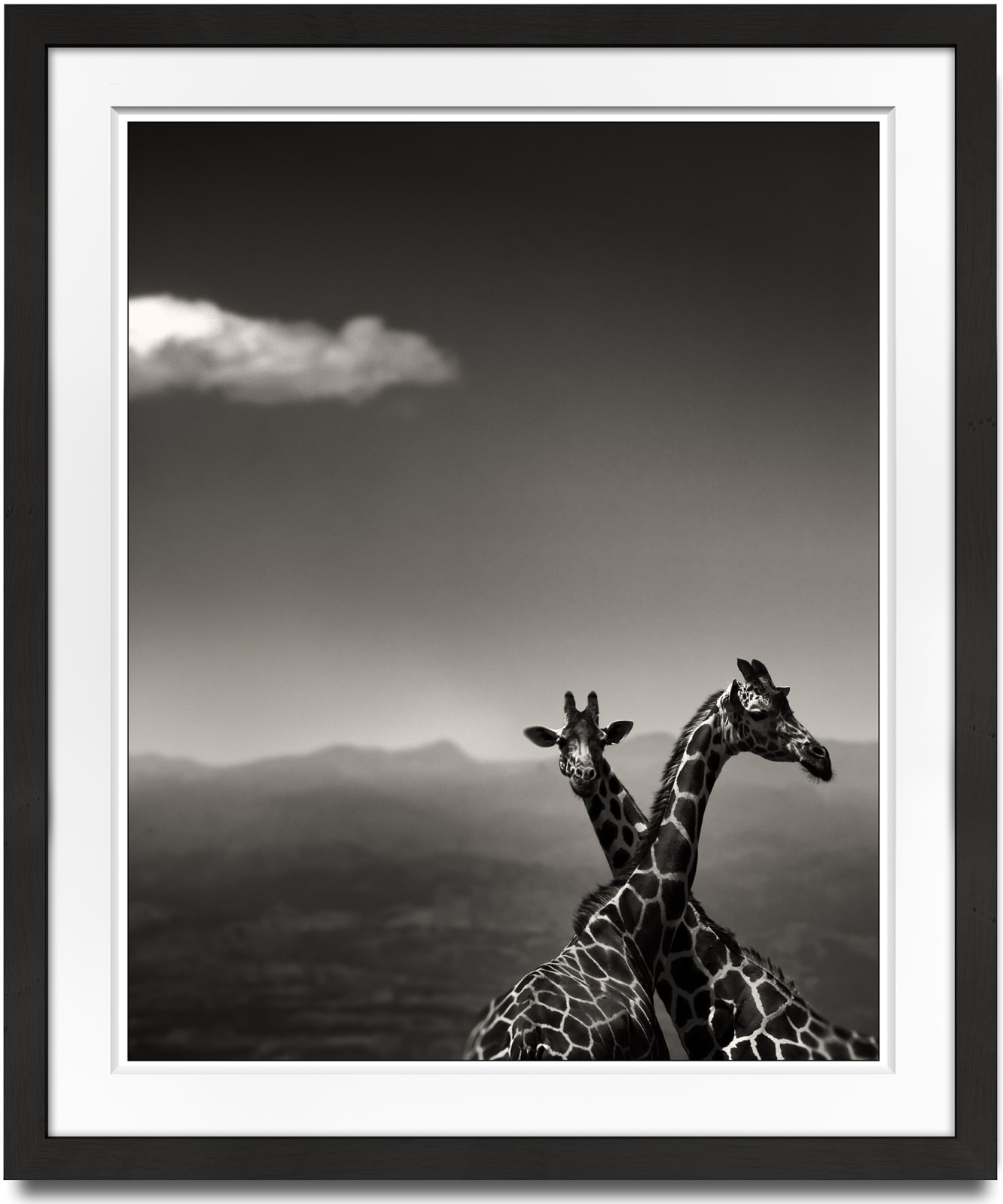 Joachim Schmeisser, Giraffe Couple, 2019