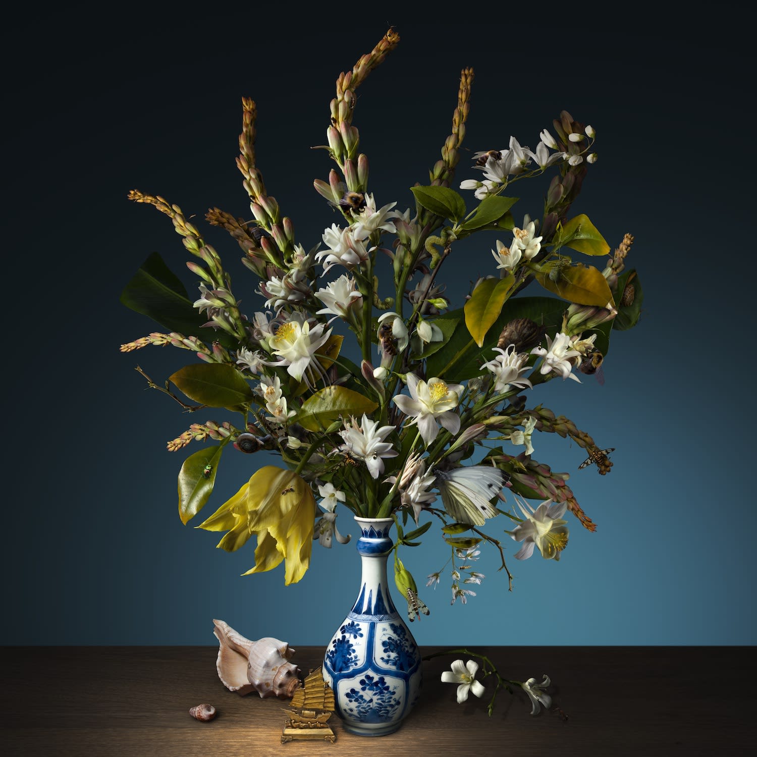 Bas Meeuws, Do Son, 2019