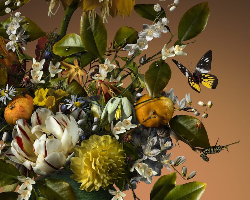 Bas Meeuws, Des Sens, 2019