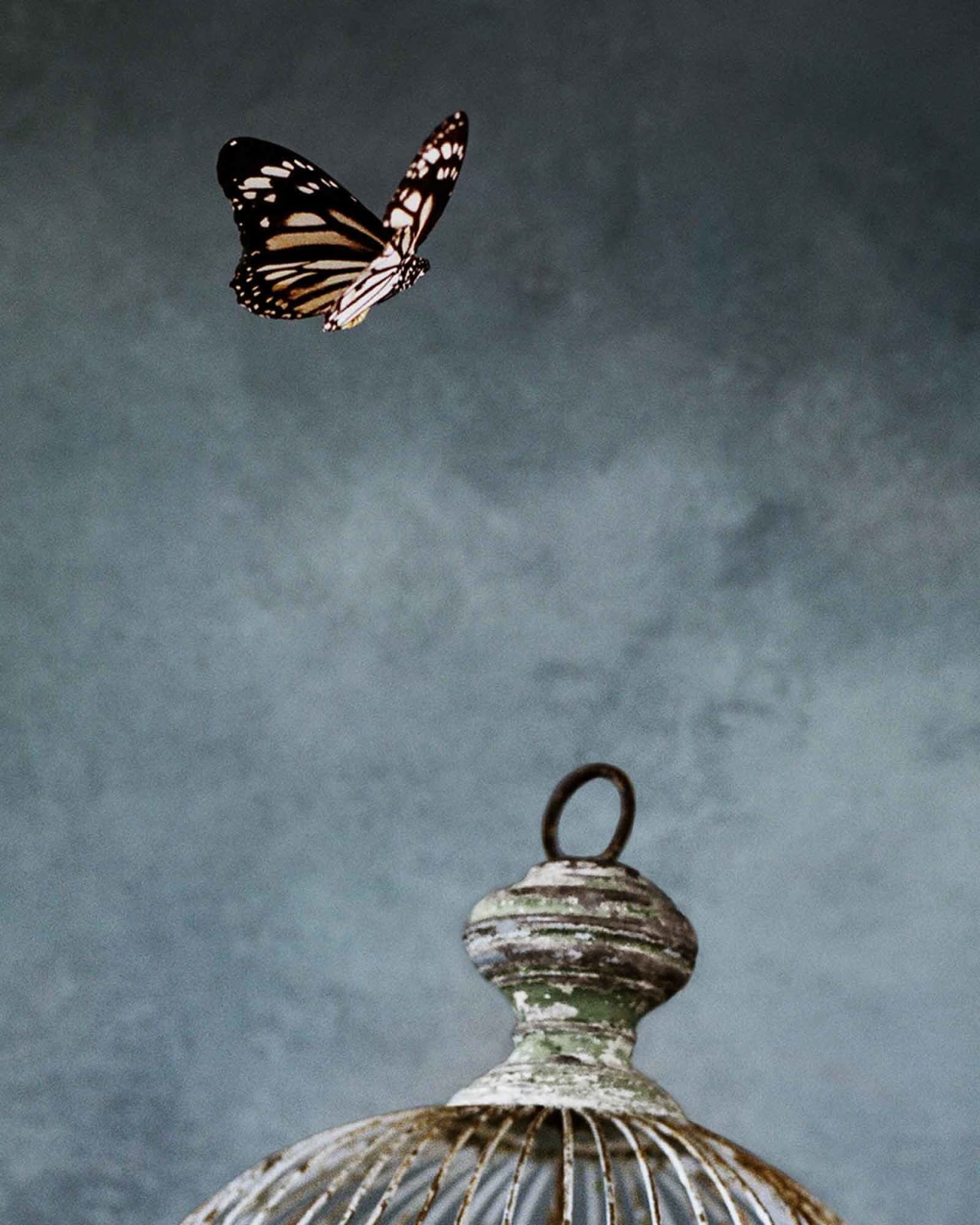 Vee Speers, Untitled #2, 2020