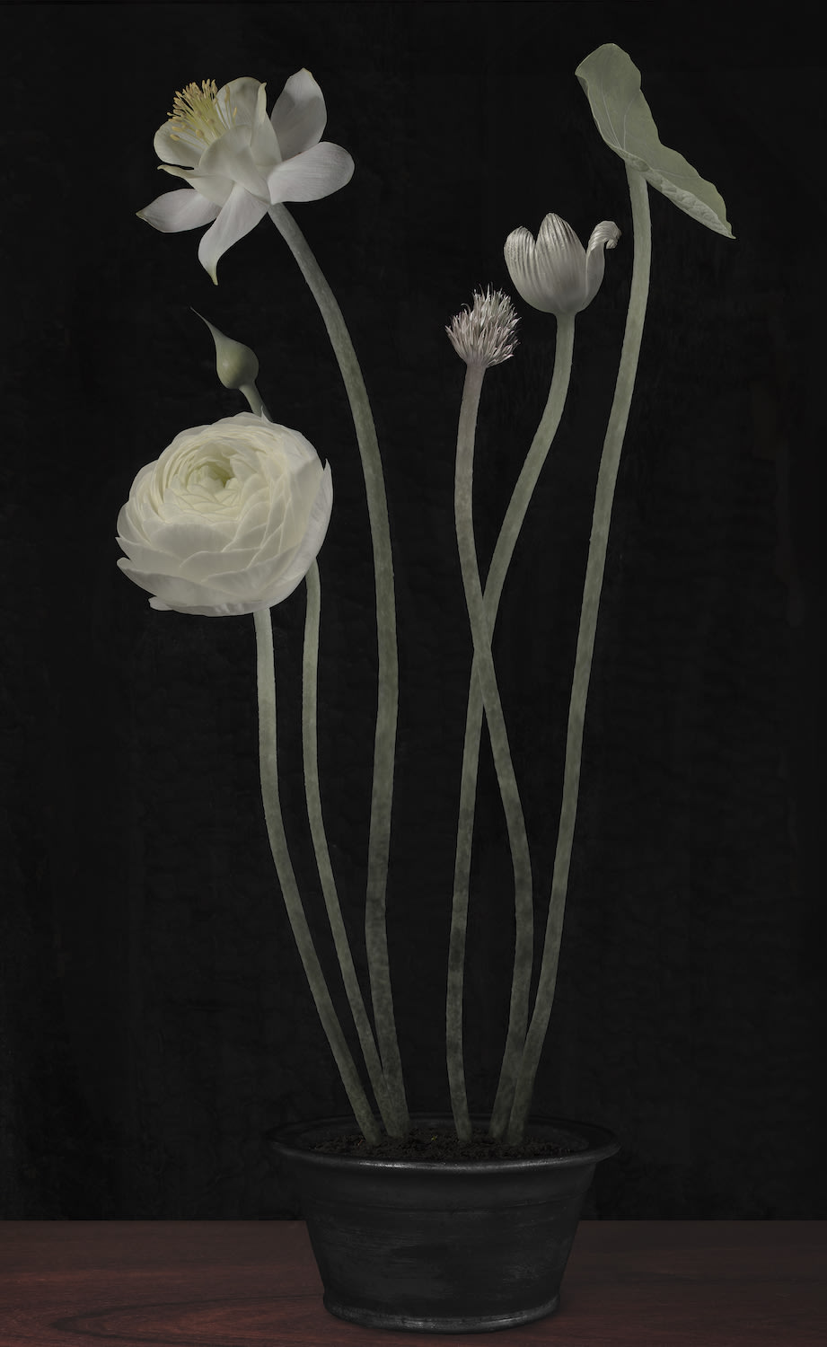 Bas Meeuws, Hommage à Sanyu (#02) , 2017