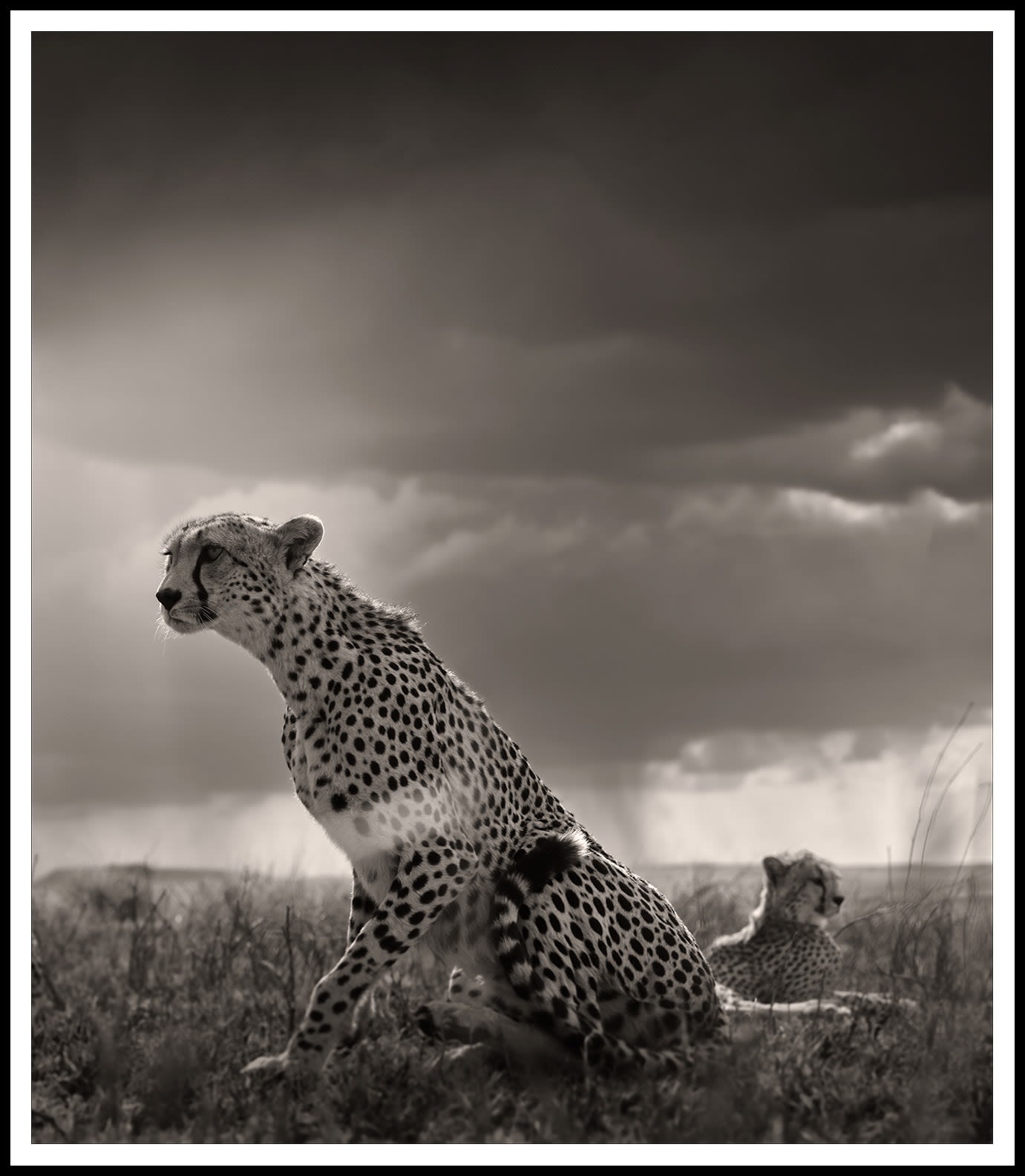 Joachim Schmeisser, On the Leap, Tanzania, 2022