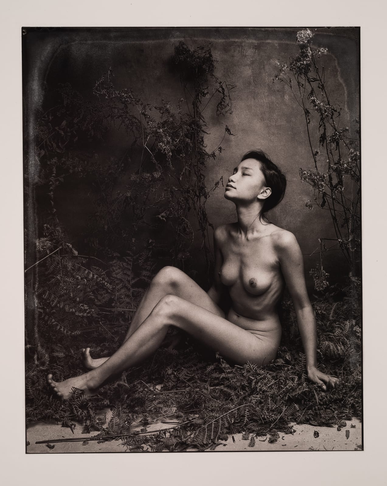 Jan C. Schlegel, Kim with Fern II, 2020