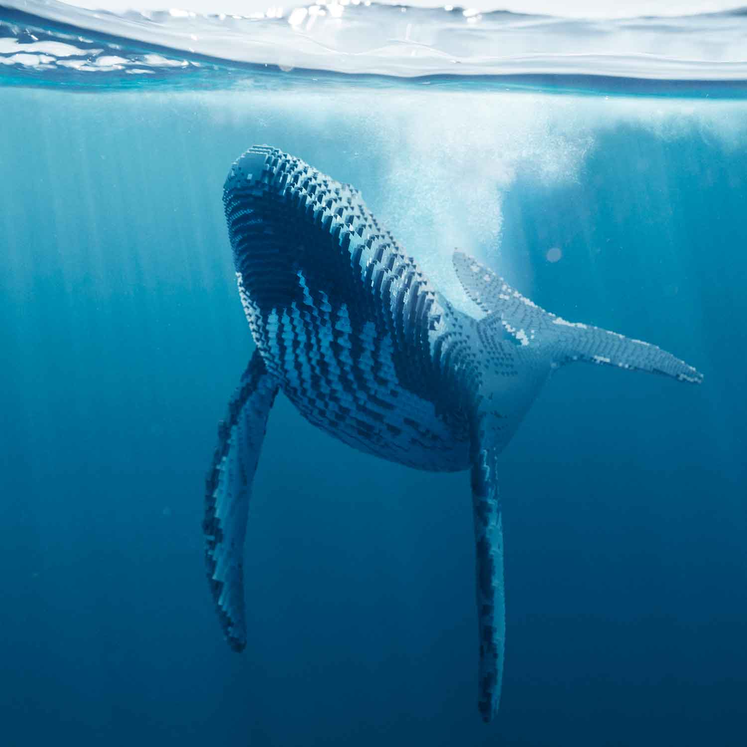 Dean West & Nathan Sawaya, Humpback #2, 2019