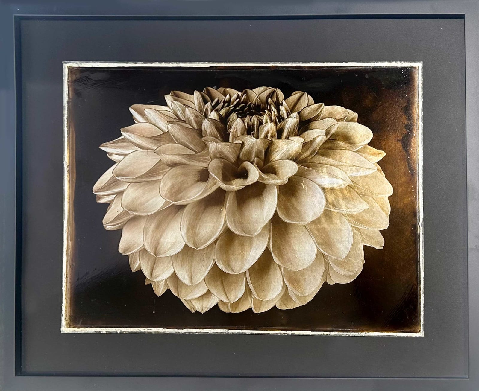 Jan C. Schlegel, Plate #7, 2025