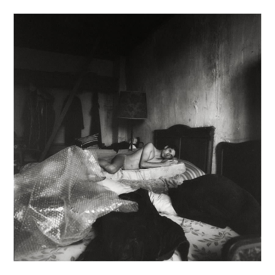Olivier Valsecchi, Noah's Ark, 2009